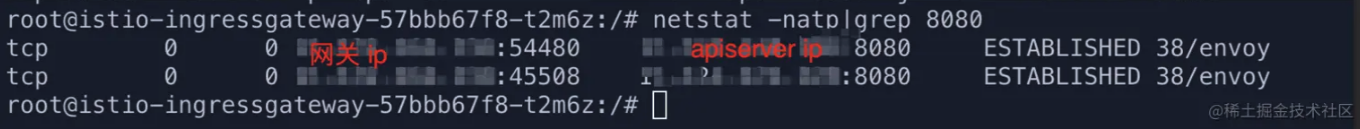 在istio-apiserver链路下netstat信息